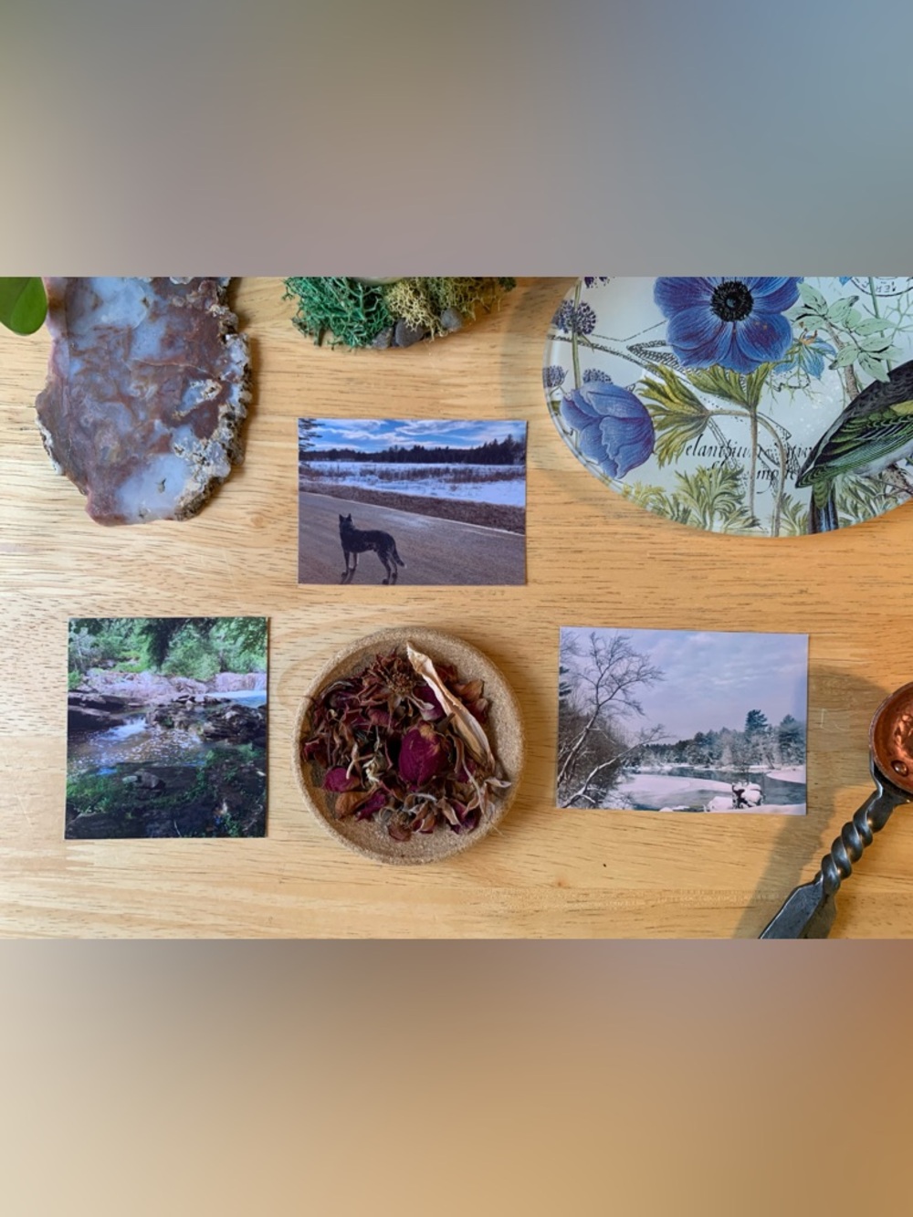 Nature Sticker Set (x3) Medium Glossy Original Nature Photography Stickers